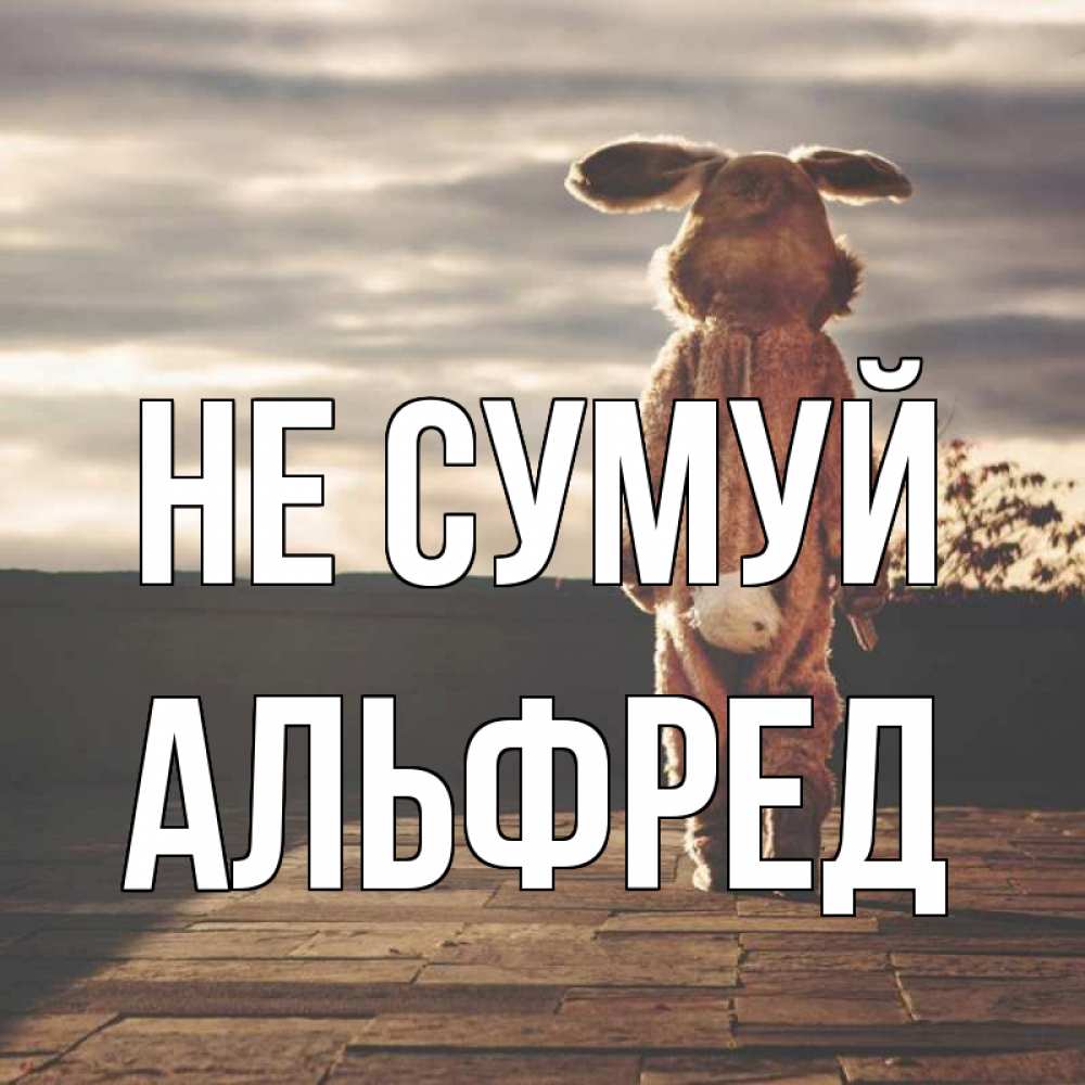 Открытка на каждый день з підписом, Альфред Не сумуй со спины Прикольна листівка з побажанням онлайн скачати безкоштовно 