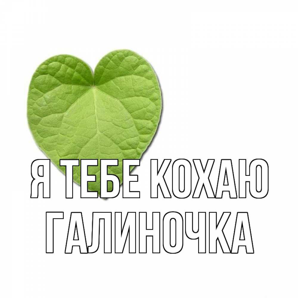 Открытка на каждый день з підписом, Галиночка Я тебе кохаю тебе Прикольна листівка з побажанням онлайн скачати безкоштовно 