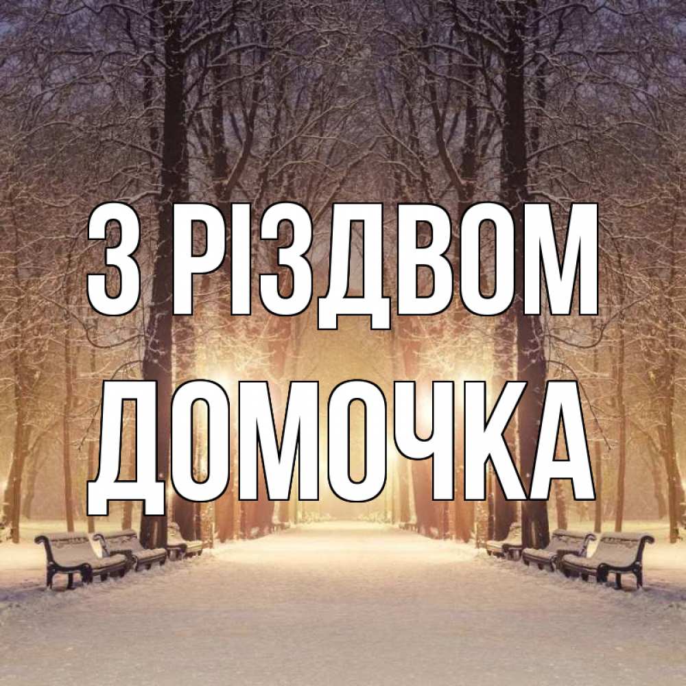 Открытка на каждый день з підписом, Домочка З Різдвом зима, парк, фонарь, лес Прикольна листівка з побажанням онлайн скачати безкоштовно 
