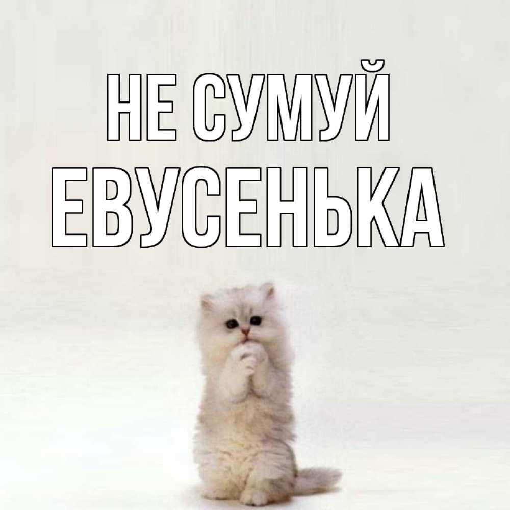 Открытка на каждый день з підписом, Евусенька Не сумуй грустный кот Прикольна листівка з побажанням онлайн скачати безкоштовно 