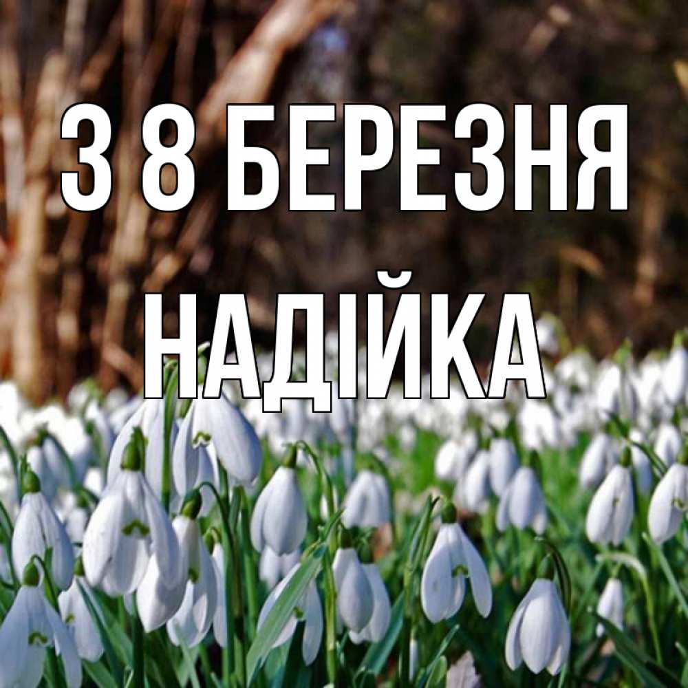 Открытка на каждый день з підписом, Надійка З 8 БЕРЕЗНЯ с подснежниками 1 Прикольна листівка з побажанням онлайн скачати безкоштовно 