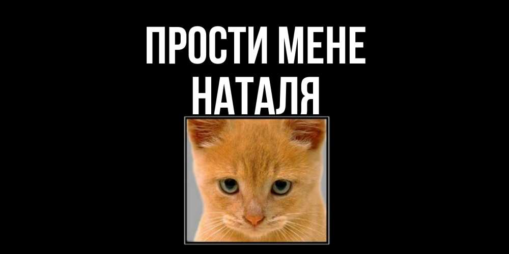 Открытка на каждый день з підписом, Наталя Прости мене рыжий грустный кот просит прощения Прикольна листівка з побажанням онлайн скачати безкоштовно 