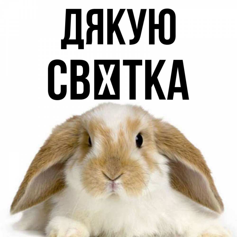 Открытка на каждый день з підписом, Свєтка Дякую коричнево белый заяц Прикольна листівка з побажанням онлайн скачати безкоштовно 