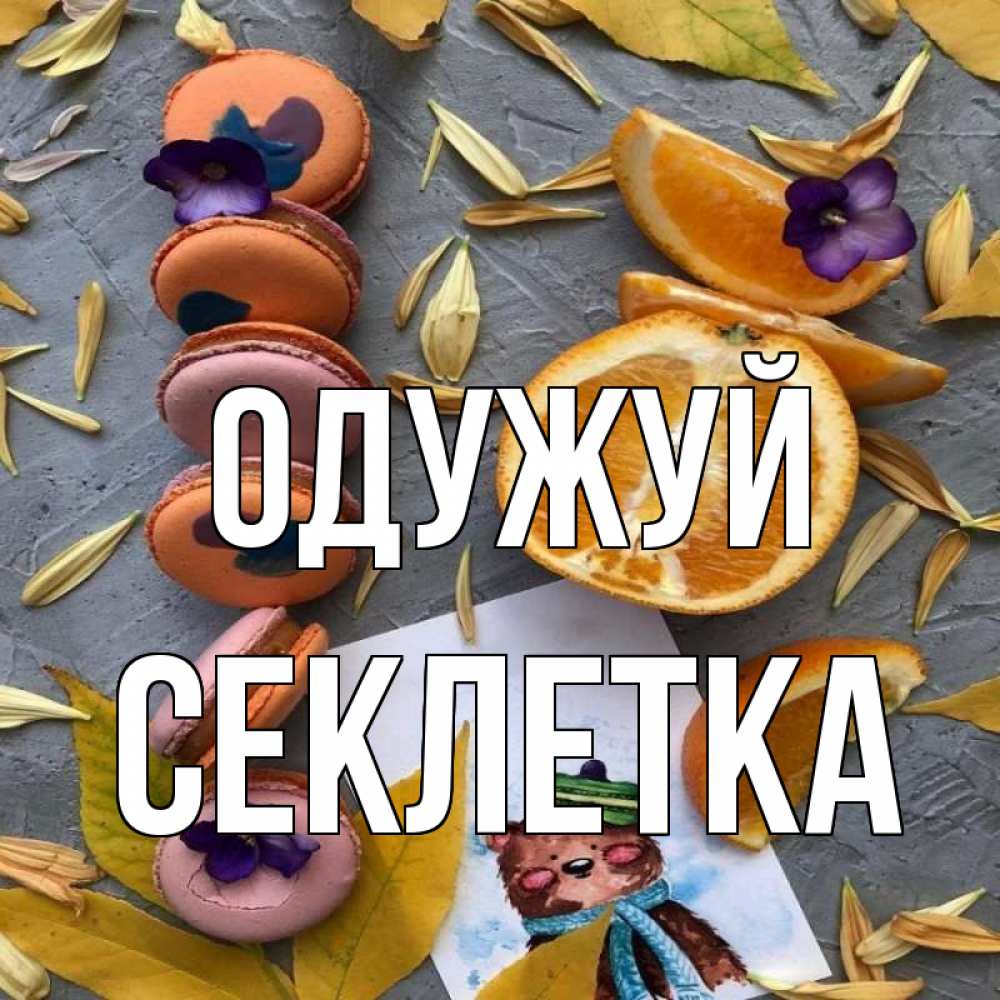 Открытка на каждый день з підписом, Секлетка Одужуй не болейте Прикольна листівка з побажанням онлайн скачати безкоштовно 
