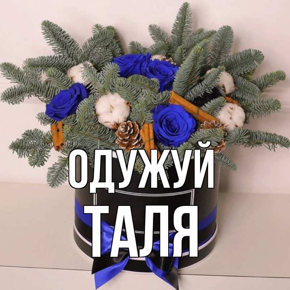 Открытка на каждый день з підписом, Таля Одужуй короче кто то загрузил эти шишки Прикольна листівка з побажанням онлайн скачати безкоштовно 