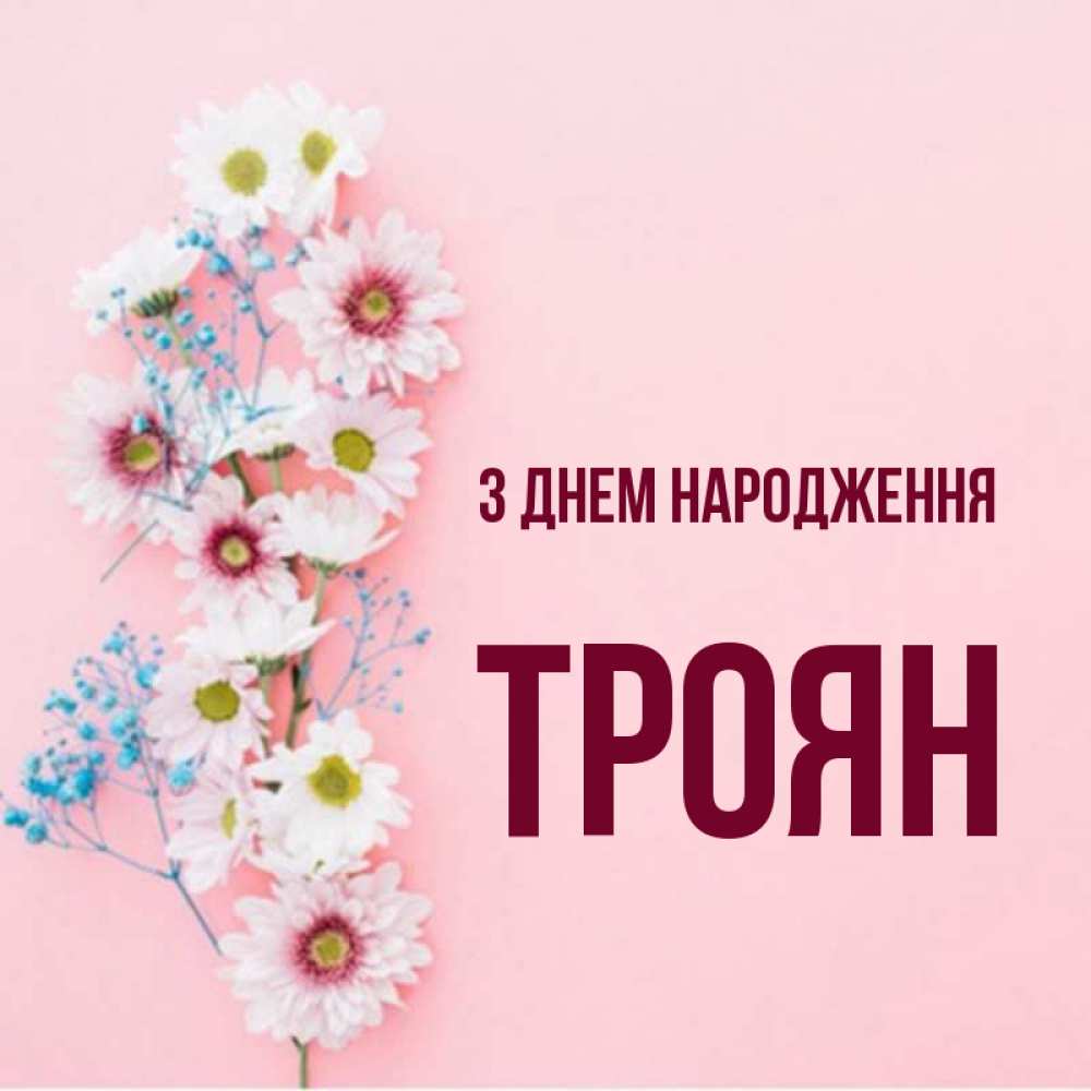 Открытка на каждый день з підписом, Троян З Днем народження Родная моя с днем рождения тебя картинка с цветами белыми и голубыми Прикольна листівка з побажанням онлайн скачати безкоштовно 