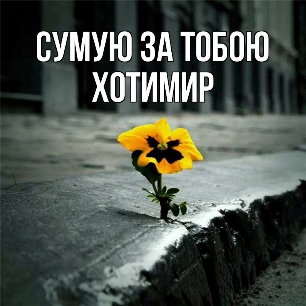 Открытка на каждый день з підписом, Хотимир Сумую за тобою надеюсь будет лучше Прикольна листівка з побажанням онлайн скачати безкоштовно 