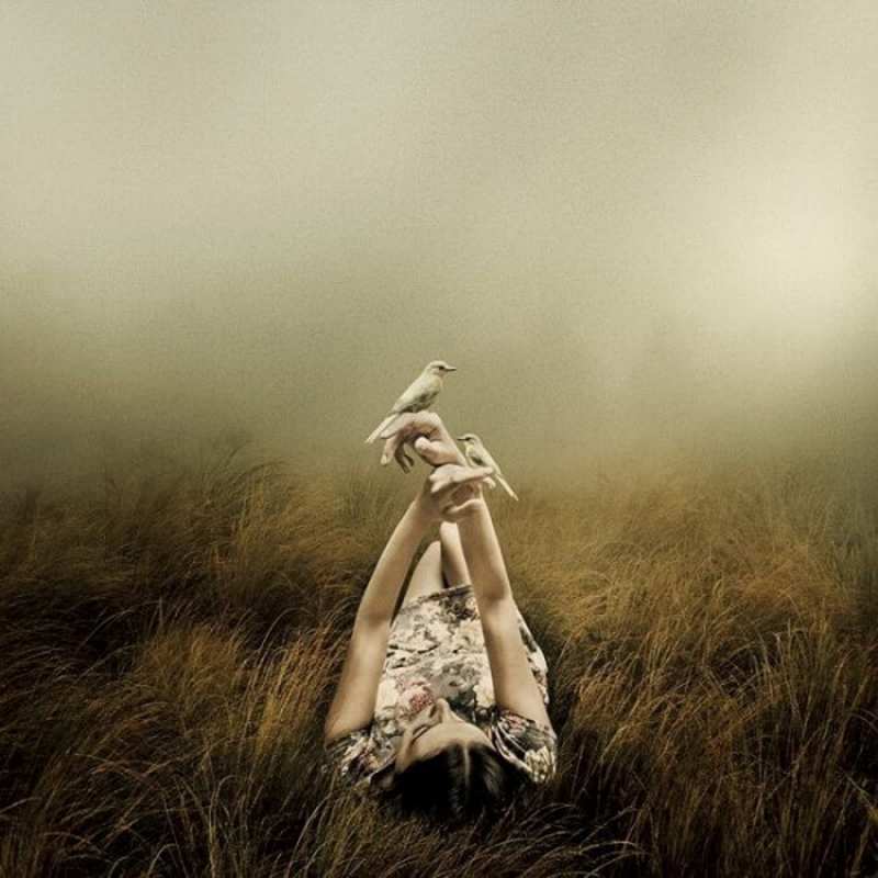 Открытка девушка лежит с птицами  поле и туман  Не сумуй 