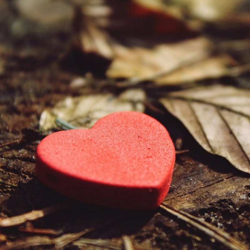 Открытка сердце 4 листья деревье 4 Я тебе кохаю 