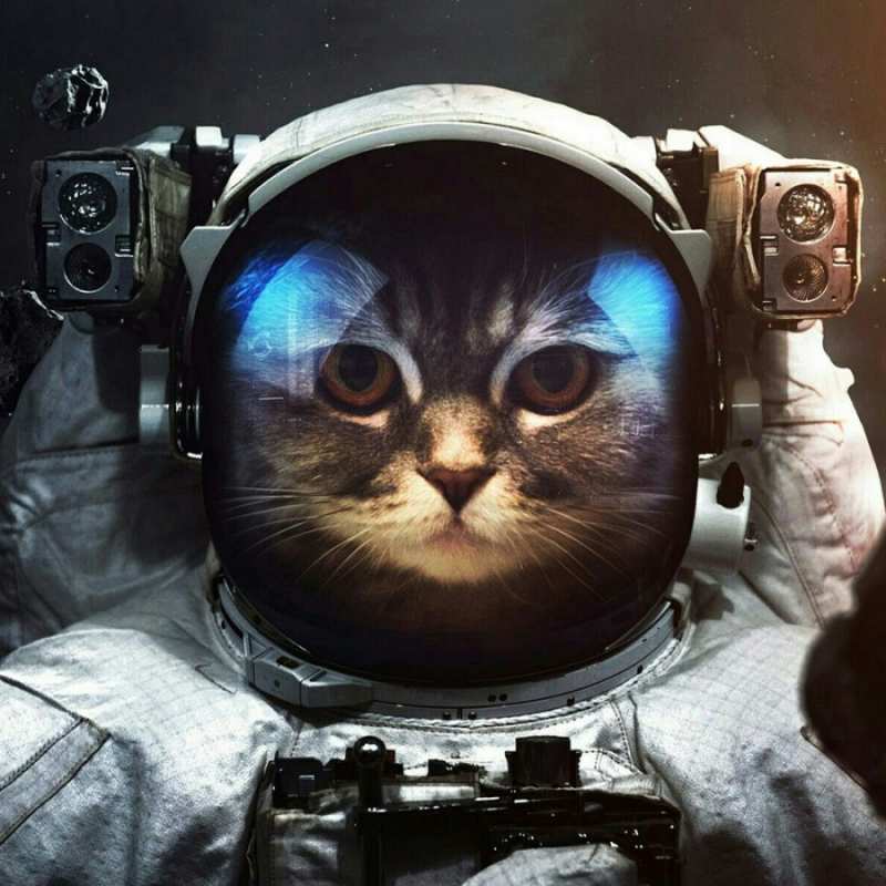 Открытка кот космонавт  желает удачно добраться  Щасливої ​​дороги 