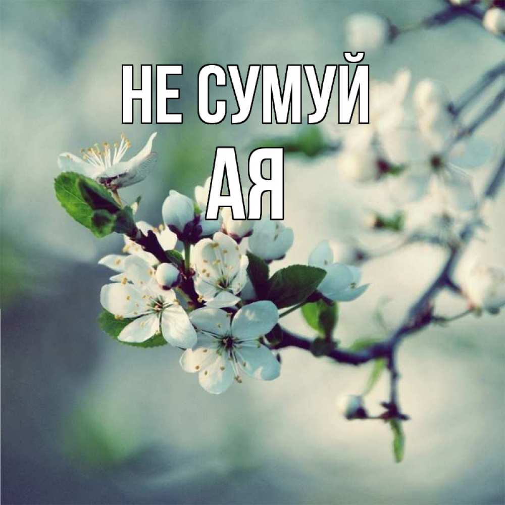 Открытка на каждый день з підписом, Ая Не сумуй яблоня в цвету 1 Прикольна листівка з побажанням онлайн скачати безкоштовно 