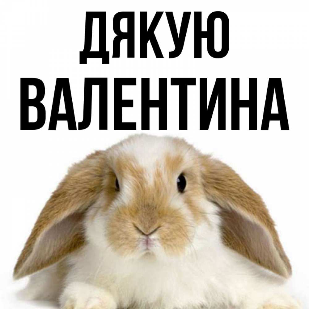 Открытка на каждый день з підписом, Валентина Дякую коричнево белый заяц Прикольна листівка з побажанням онлайн скачати безкоштовно 