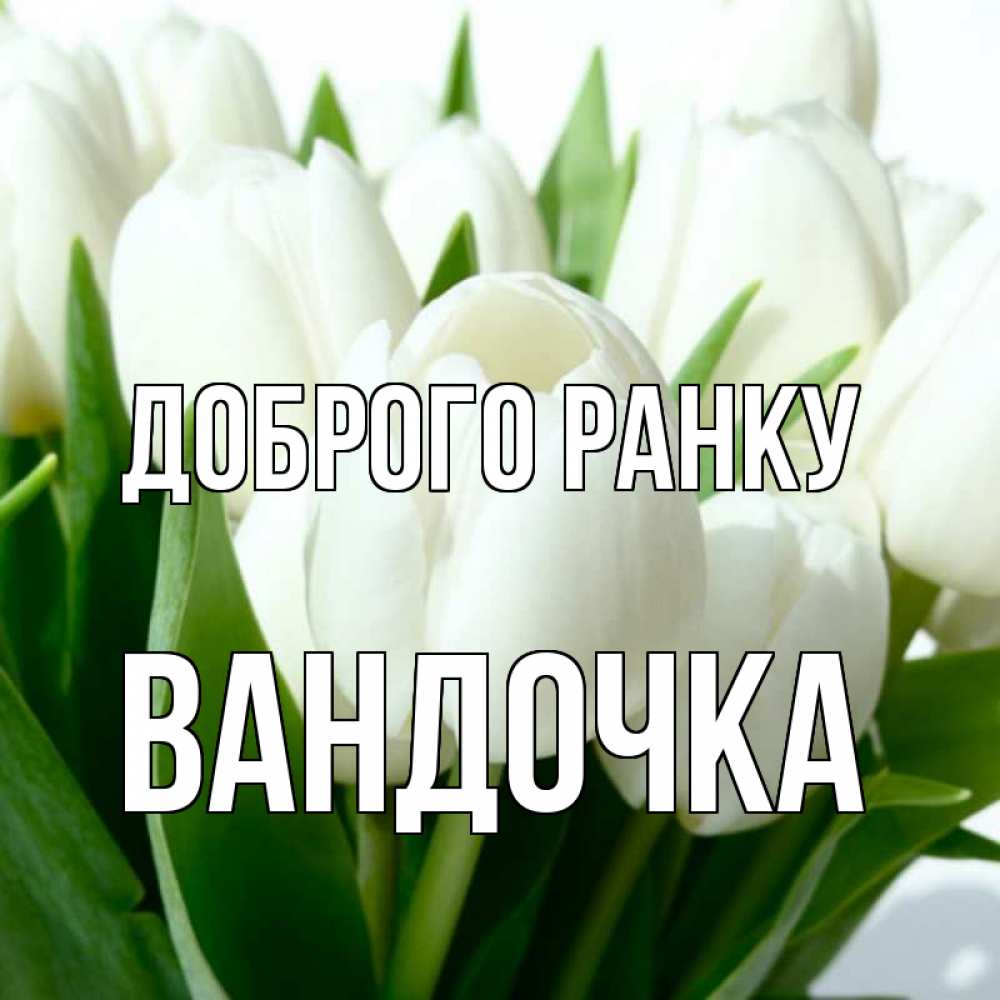 Открытка на каждый день з підписом, Вандочка Доброго ранку открытки на каждый день по именам Прикольна листівка з побажанням онлайн скачати безкоштовно 