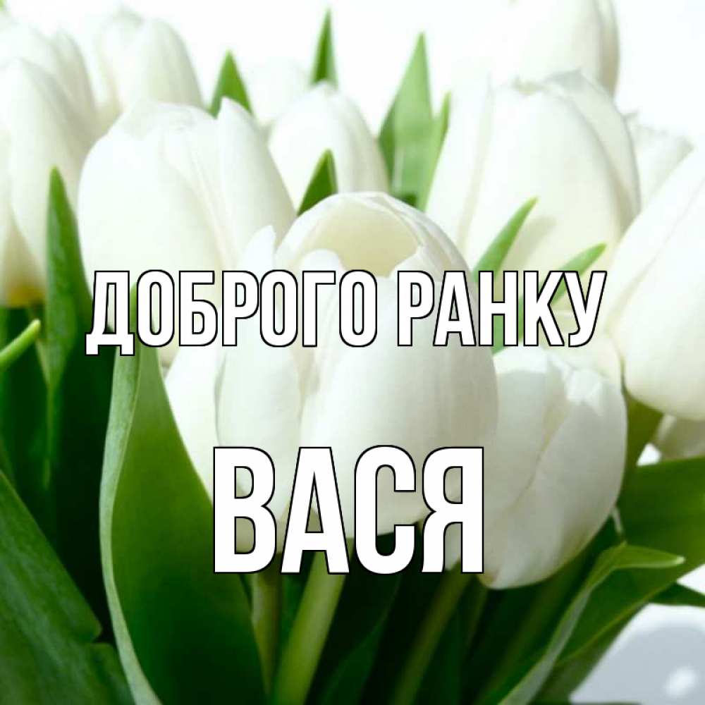 Открытка на каждый день з підписом, Вася Доброго ранку открытки на каждый день по именам Прикольна листівка з побажанням онлайн скачати безкоштовно 