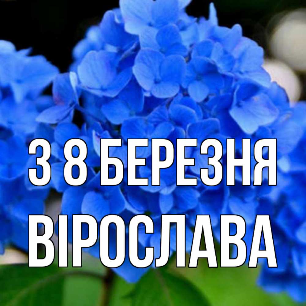 Открытка на каждый день з підписом, Вірослава З 8 БЕРЕЗНЯ синие цветы Прикольна листівка з побажанням онлайн скачати безкоштовно 