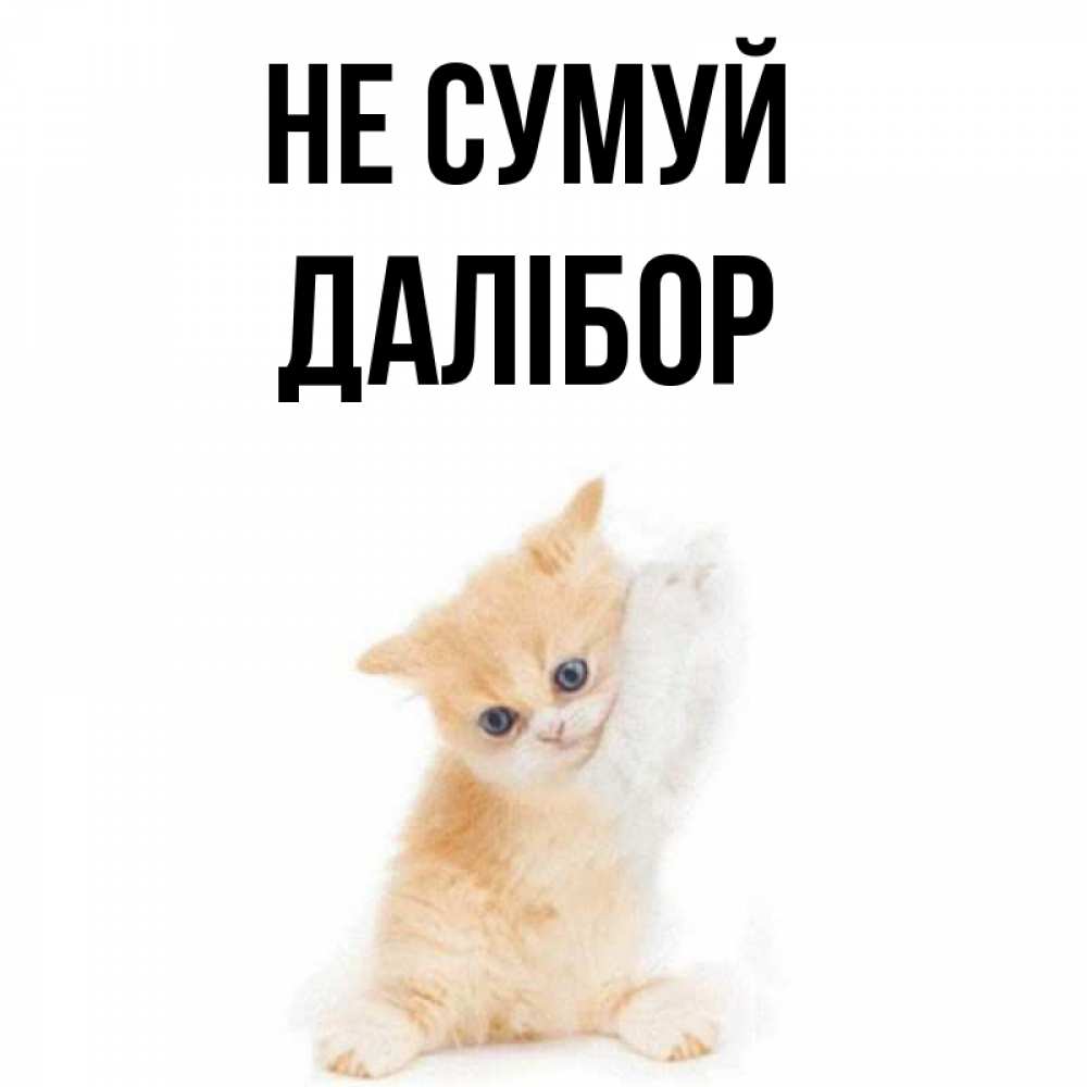 Открытка на каждый день з підписом, Далібор Не сумуй просящий кот Прикольна листівка з побажанням онлайн скачати безкоштовно 