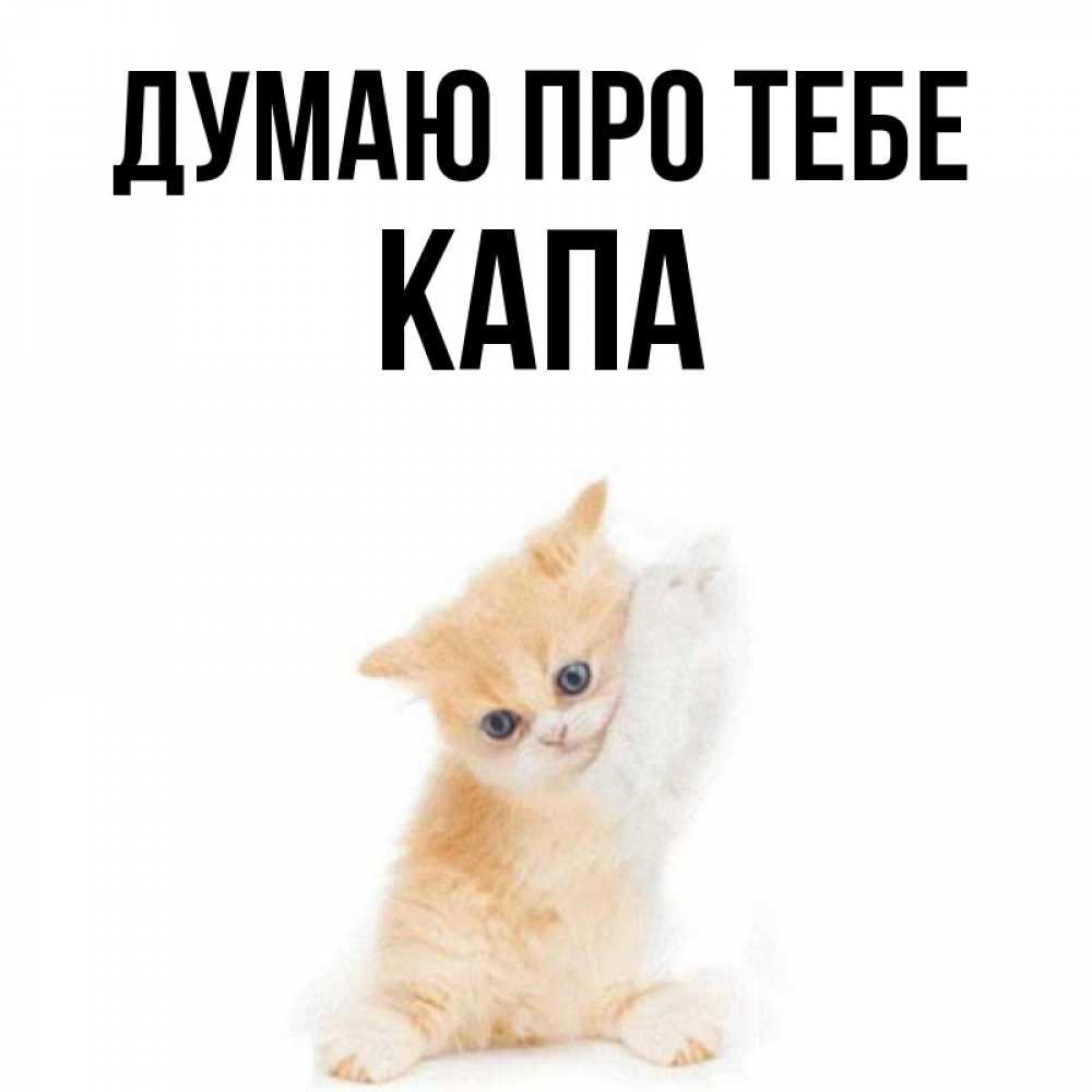 Открытка на каждый день з підписом, Капа Думаю про тебе зверушки и милота Прикольна листівка з побажанням онлайн скачати безкоштовно 