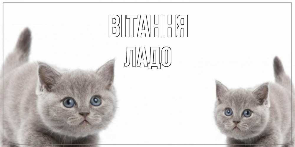 Открытка на каждый день з підписом, Ладо Вітання коты Прикольна листівка з побажанням онлайн скачати безкоштовно 
