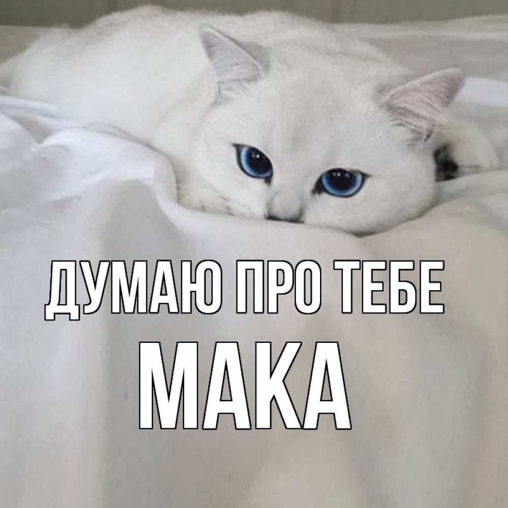 Открытка на каждый день з підписом, Мака Думаю про тебе я очень по тебе скучаю и тоскую Прикольна листівка з побажанням онлайн скачати безкоштовно 