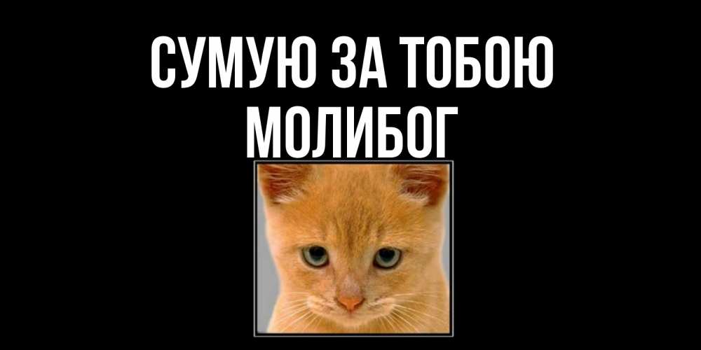 Открытка на каждый день з підписом, Молибог Сумую за тобою открытки рыжий котенок скучает по тебе Прикольна листівка з побажанням онлайн скачати безкоштовно 