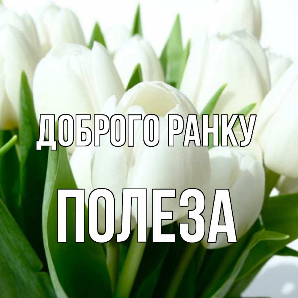 Открытка на каждый день з підписом, Полеза Доброго ранку открытки на каждый день по именам Прикольна листівка з побажанням онлайн скачати безкоштовно 