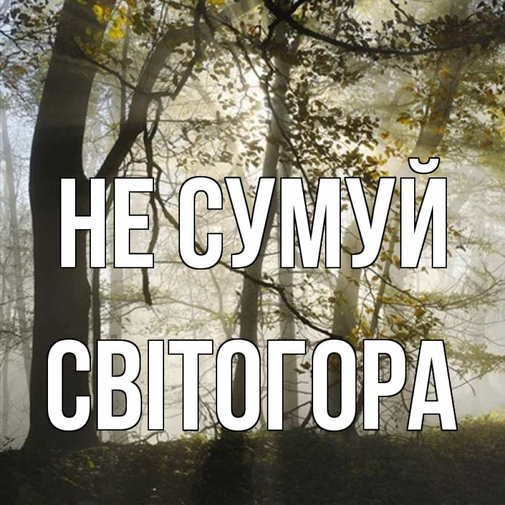 Открытка на каждый день з підписом, Світогора Не сумуй лес и свет Прикольна листівка з побажанням онлайн скачати безкоштовно 