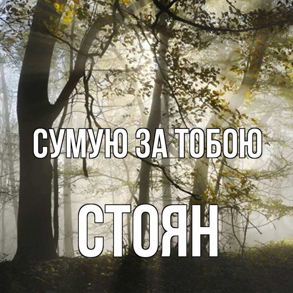 Открытка на каждый день з підписом, Стоян Сумую за тобою грустно Прикольна листівка з побажанням онлайн скачати безкоштовно 