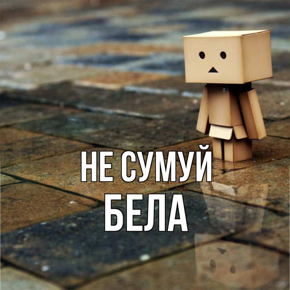 Открытка на каждый день з підписом, Бела Не сумуй Стив Прикольна листівка з побажанням онлайн скачати безкоштовно 