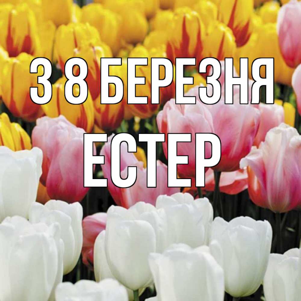 Открытка на каждый день з підписом, Естер З 8 БЕРЕЗНЯ разноцветные цветы Прикольна листівка з побажанням онлайн скачати безкоштовно 