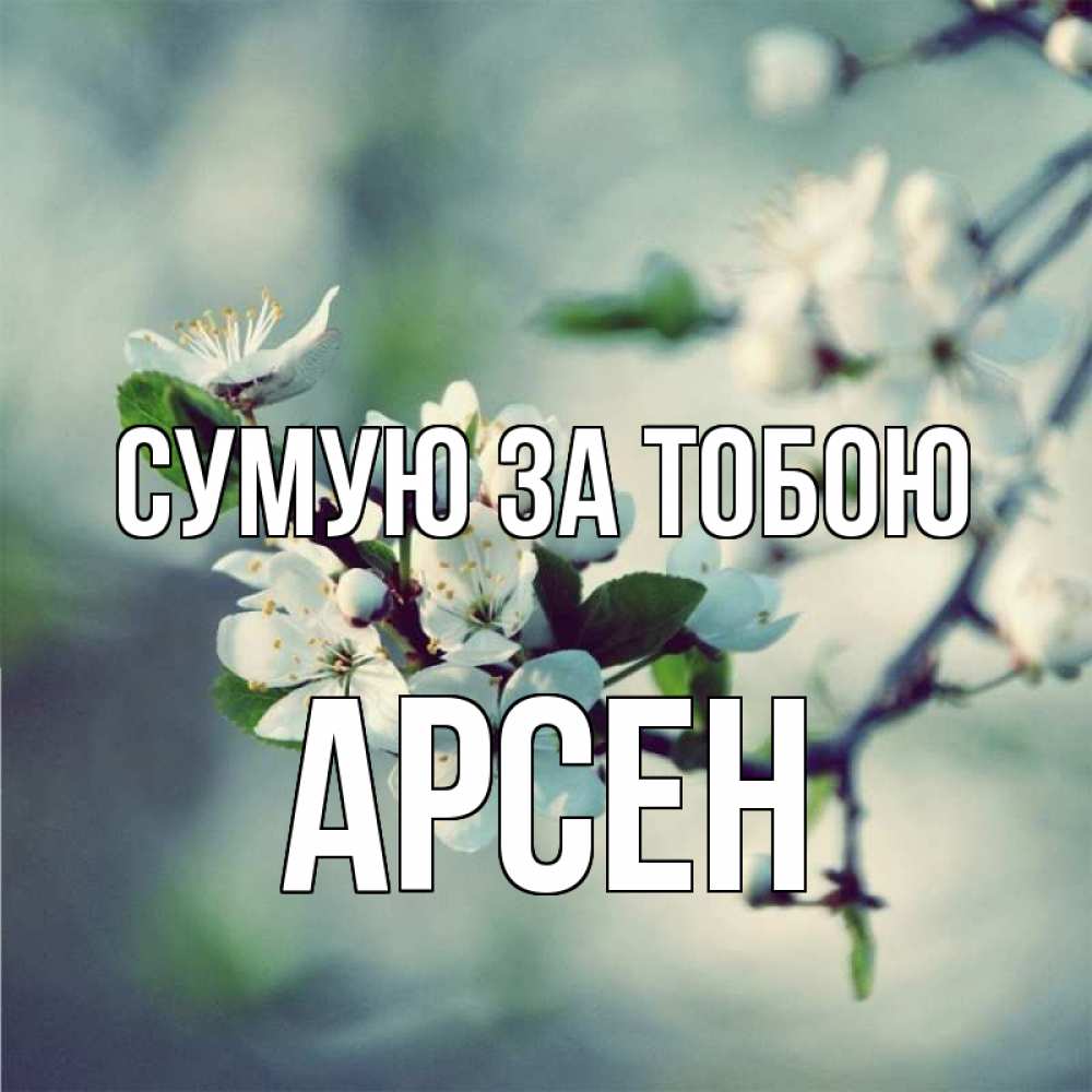 Открытка на каждый день з підписом, Арсен Сумую за тобою весна Прикольна листівка з побажанням онлайн скачати безкоштовно 