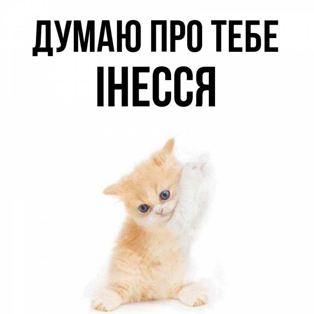 Открытка на каждый день з підписом, Інесся Думаю про тебе зверушки и милота Прикольна листівка з побажанням онлайн скачати безкоштовно 
