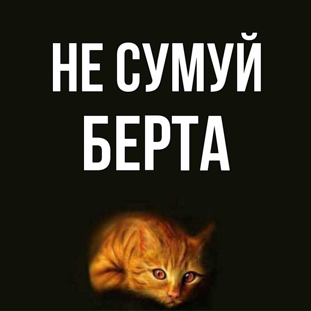 Открытка на каждый день з підписом, Берта Не сумуй лежащий кот в темноте Прикольна листівка з побажанням онлайн скачати безкоштовно 