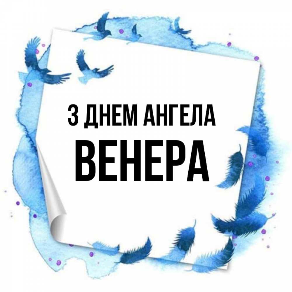 Открытка на каждый день з підписом, Венера З Днем ангела красивые птицы летят Прикольна листівка з побажанням онлайн скачати безкоштовно 