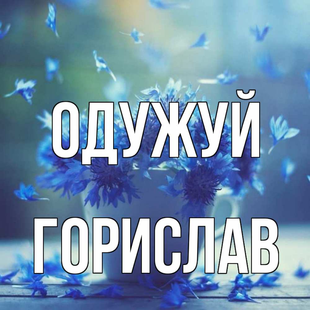 Открытка на каждый день з підписом, Горислав Одужуй кружка с зельем и цветами Прикольна листівка з побажанням онлайн скачати безкоштовно 