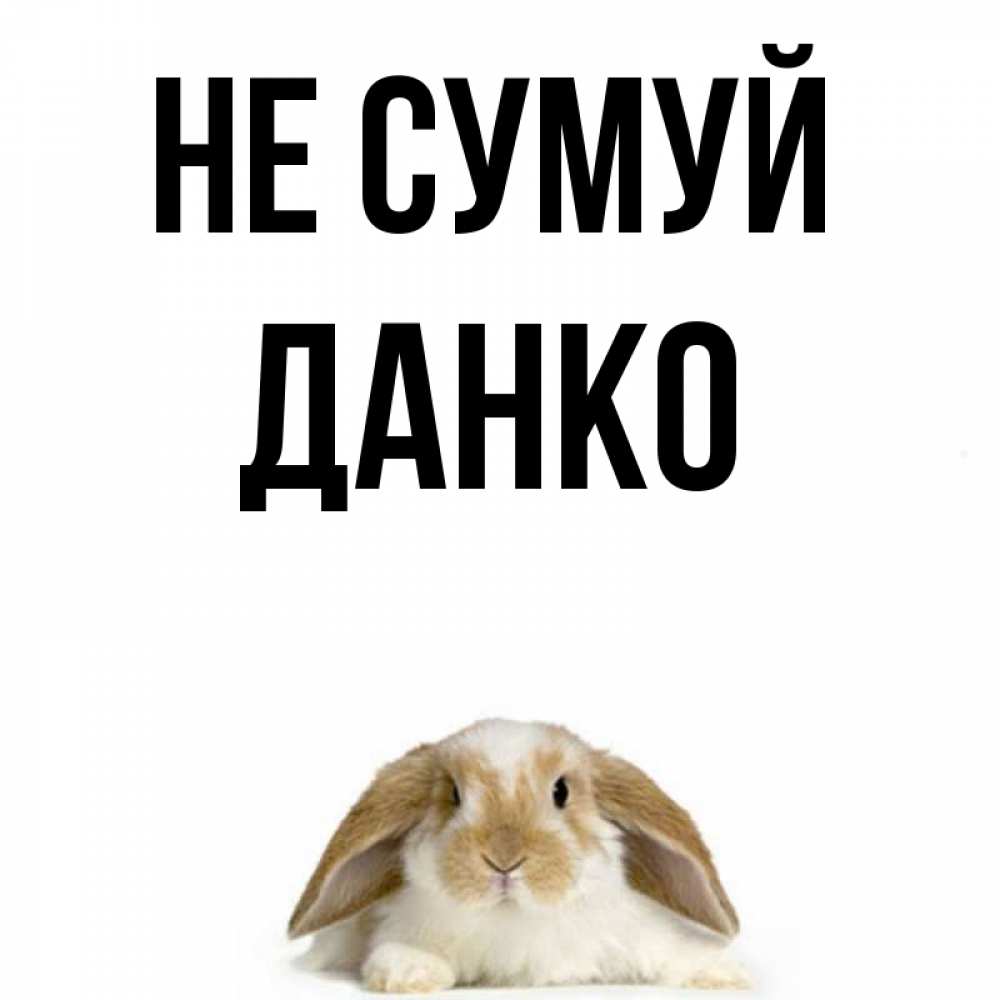 Открытка на каждый день з підписом, Данко Не сумуй коричнево белый заяц с большими ушками Прикольна листівка з побажанням онлайн скачати безкоштовно 