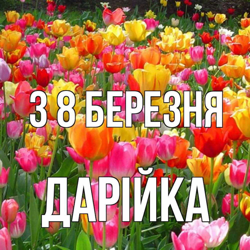 Открытка на каждый день з підписом, Дарійка З 8 БЕРЕЗНЯ на международный женский день Прикольна листівка з побажанням онлайн скачати безкоштовно 