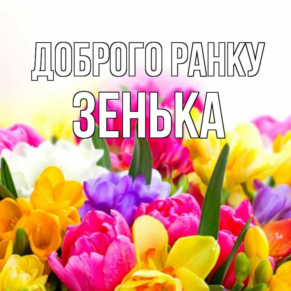 Открытка на каждый день з підписом, Зенька Доброго ранку создать открытку со свое подписью Прикольна листівка з побажанням онлайн скачати безкоштовно 