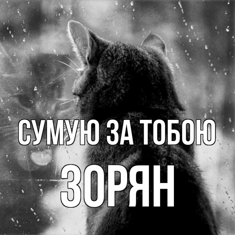 Открытка на каждый день з підписом, Зорян Сумую за тобою скорее ко мне приходи 1 Прикольна листівка з побажанням онлайн скачати безкоштовно 