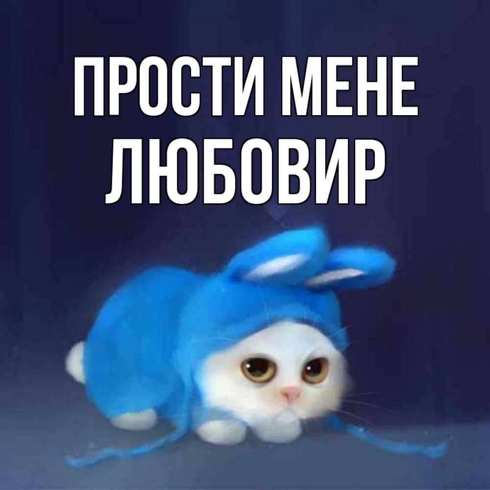 Открытка на каждый день з підписом, Любовир Прости мене невинный котозай просит прощения Прикольна листівка з побажанням онлайн скачати безкоштовно 