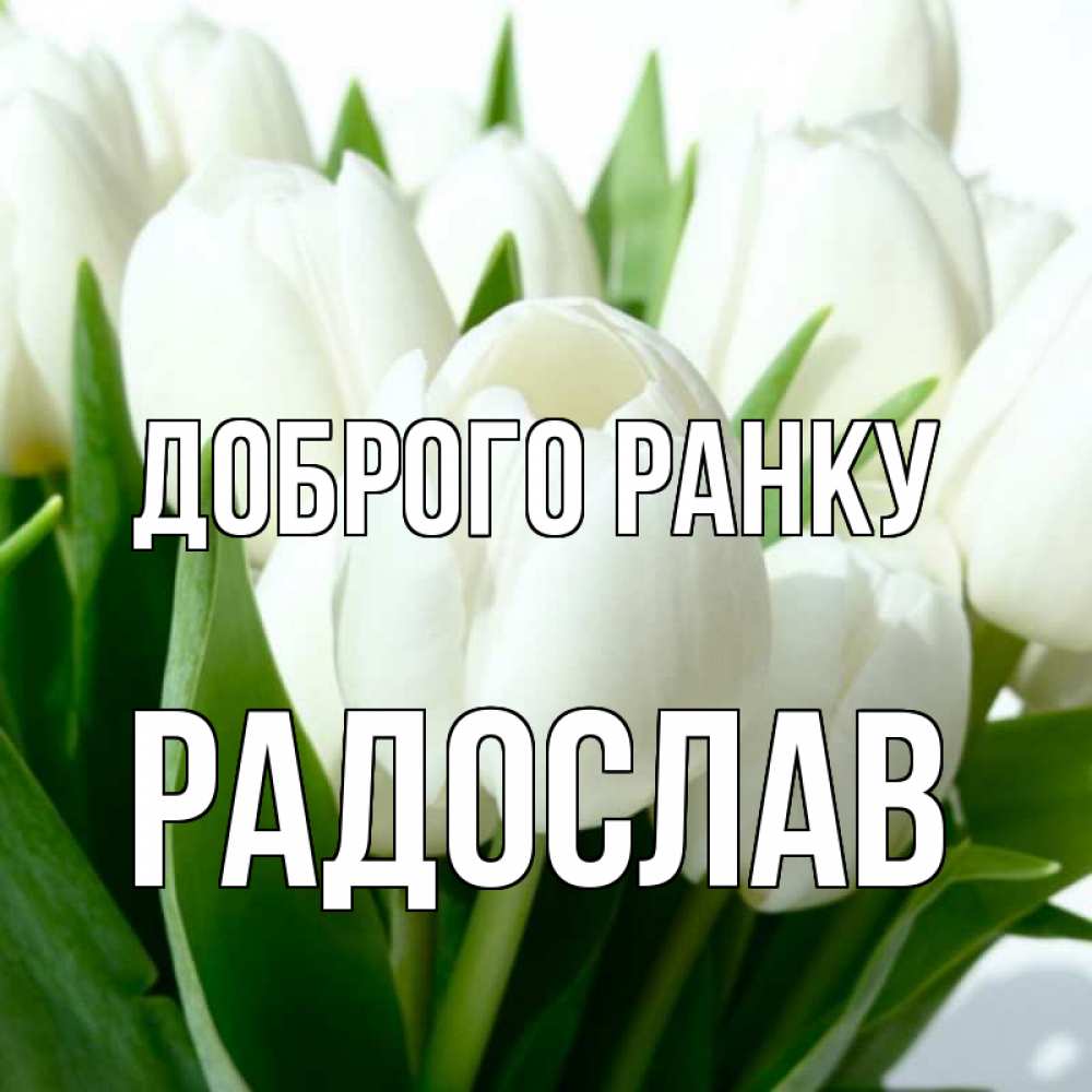Открытка на каждый день з підписом, Радослав Доброго ранку открытки на каждый день по именам Прикольна листівка з побажанням онлайн скачати безкоштовно 