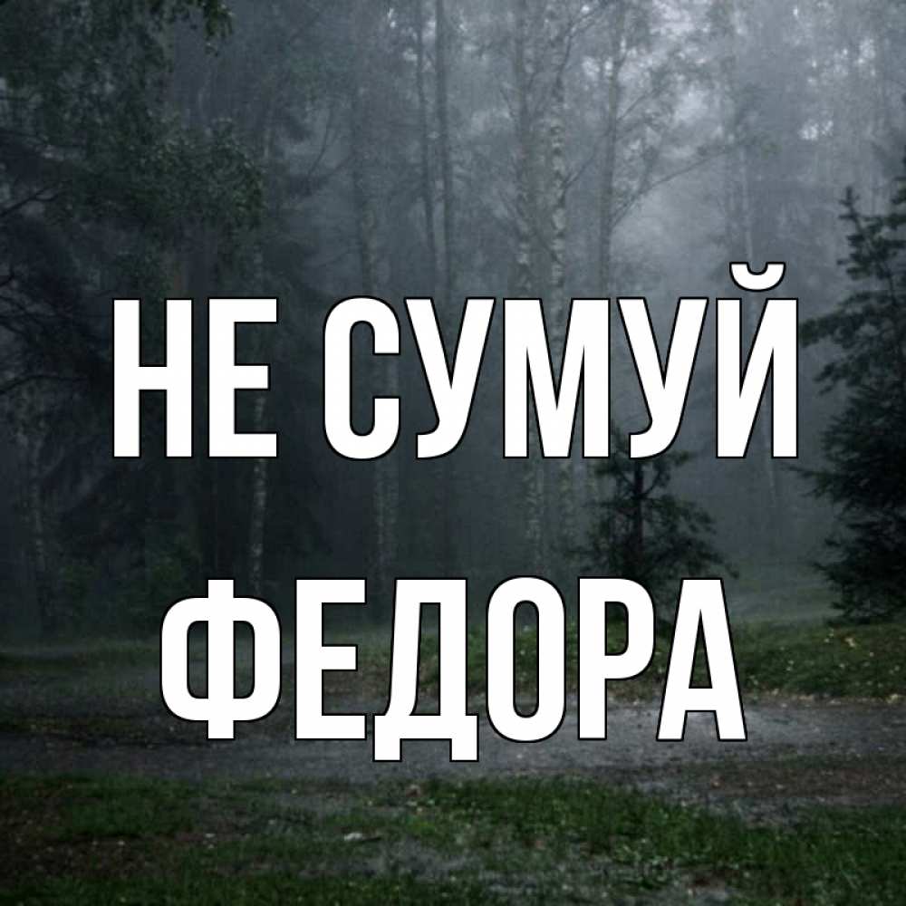 Открытка на каждый день з підписом, Федора Не сумуй осень Прикольна листівка з побажанням онлайн скачати безкоштовно 