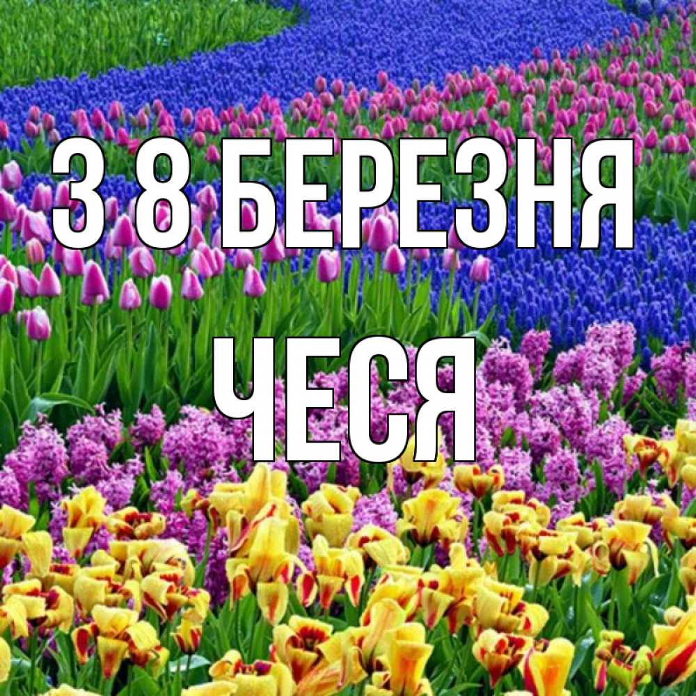 Открытка на каждый день з підписом, Чеся З 8 БЕРЕЗНЯ цветы Прикольна листівка з побажанням онлайн скачати безкоштовно 