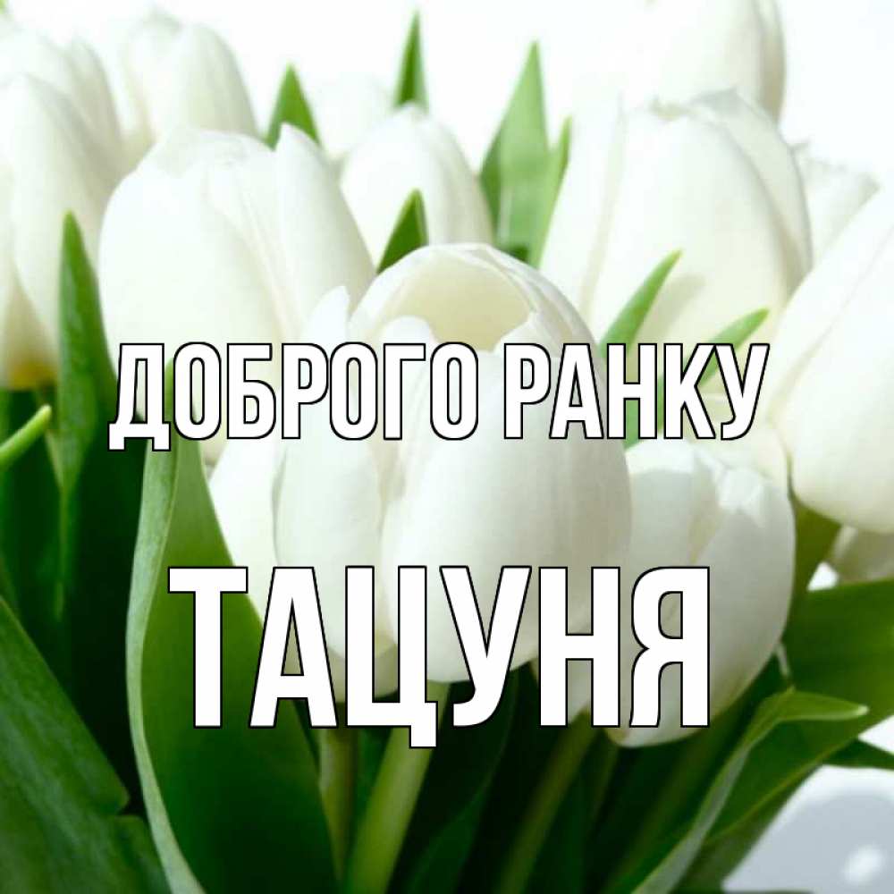 Открытка на каждый день з підписом, Тацуня Доброго ранку открытки на каждый день по именам Прикольна листівка з побажанням онлайн скачати безкоштовно 