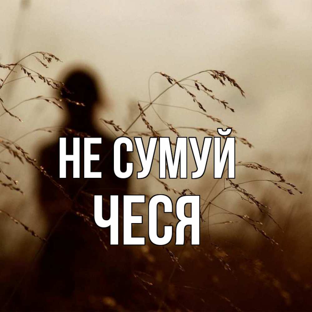 Открытка на каждый день з підписом, Чеся Не сумуй грусть Прикольна листівка з побажанням онлайн скачати безкоштовно 