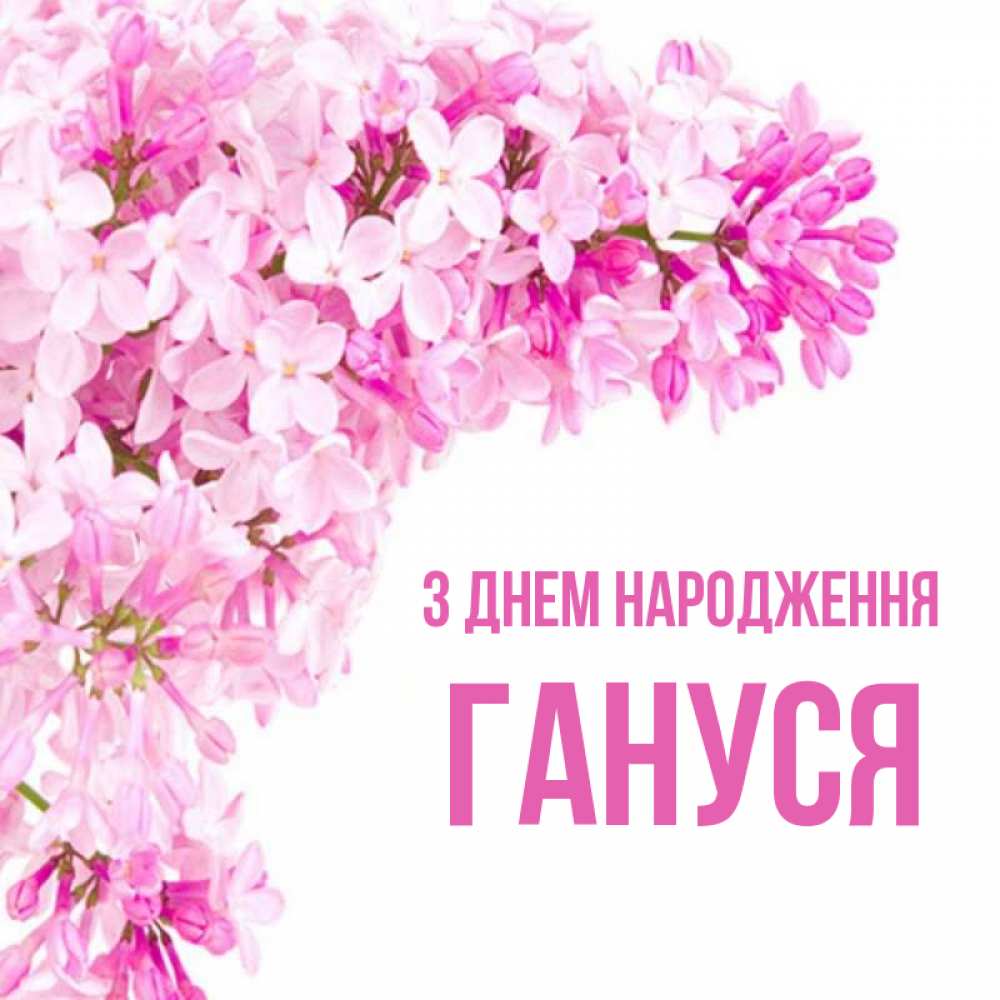 Открытка на каждый день з підписом, Гануся З Днем народження Сирень на белом фоне Прикольна листівка з побажанням онлайн скачати безкоштовно 