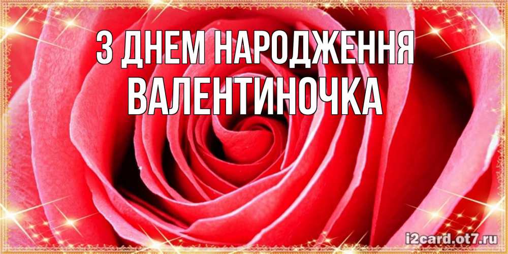 Открытка на каждый день з підписом, Валентиночка З Днем народження розовая роза очень крупный бутон Прикольна листівка з побажанням онлайн скачати безкоштовно 