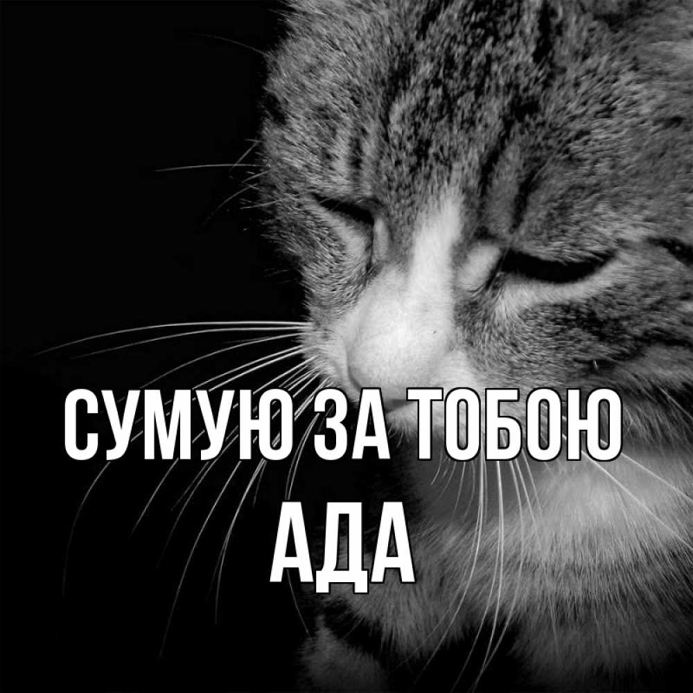 Открытка на каждый день з підписом, Ада Сумую за тобою мне скучно Прикольна листівка з побажанням онлайн скачати безкоштовно 