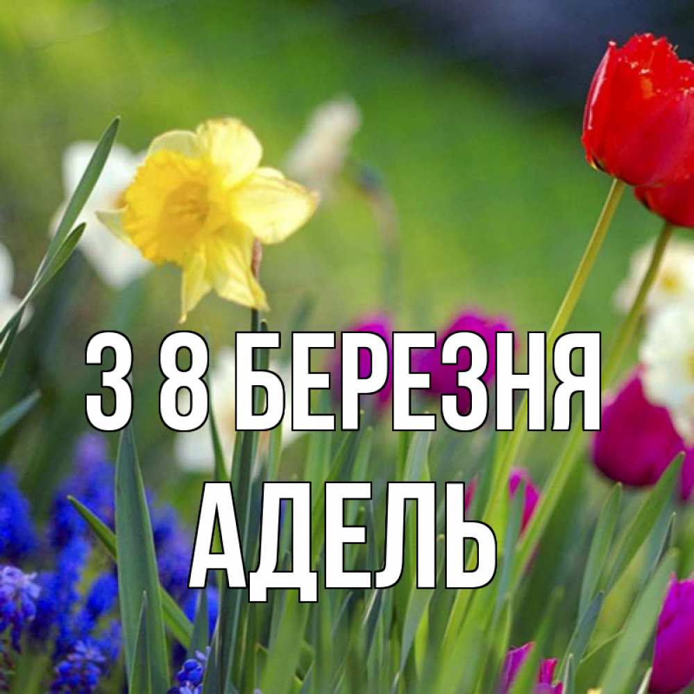 Открытка на каждый день з підписом, Адель З 8 БЕРЕЗНЯ международный женский день 3 Прикольна листівка з побажанням онлайн скачати безкоштовно 