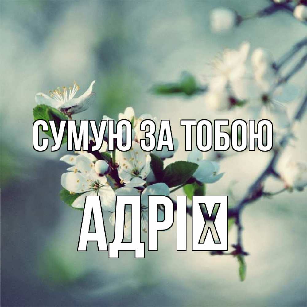 Открытка на каждый день з підписом, Адрії Сумую за тобою весна Прикольна листівка з побажанням онлайн скачати безкоштовно 
