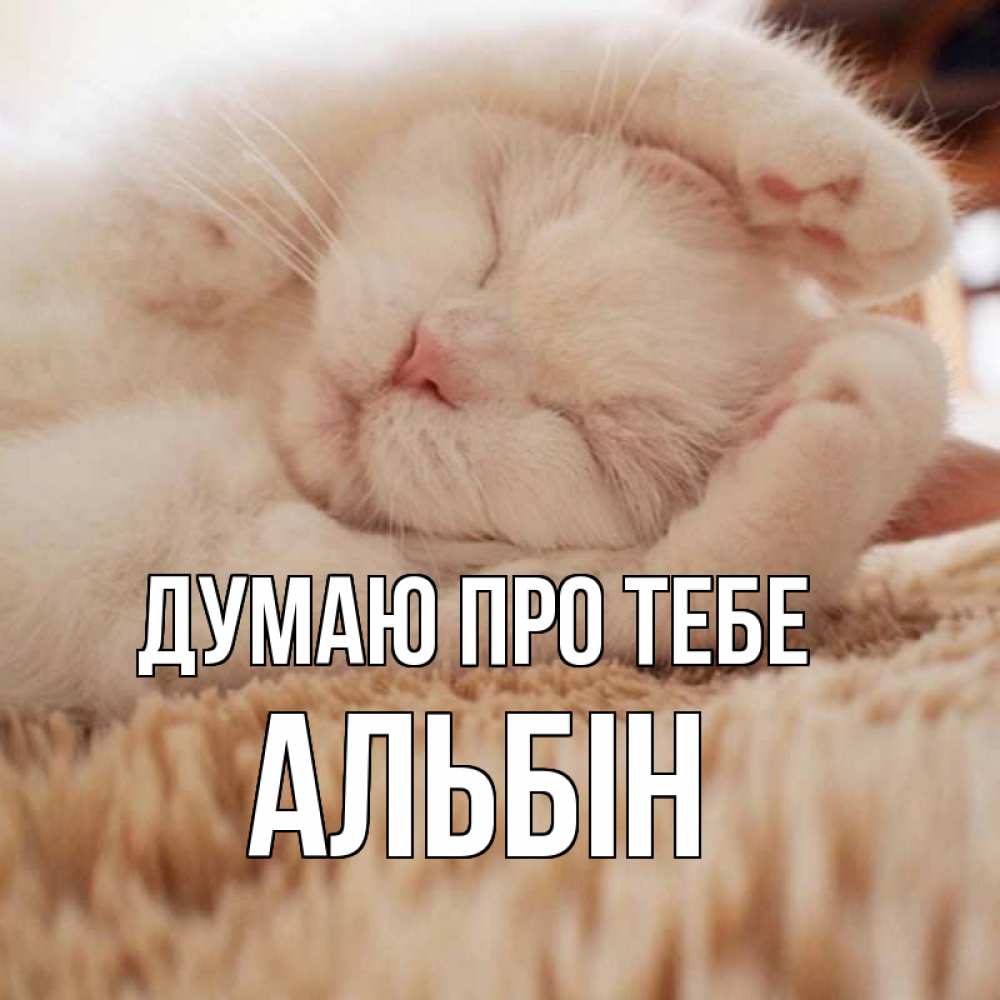 Открытка на каждый день з підписом, Альбін Думаю про тебе для любимой девушки милота Прикольна листівка з побажанням онлайн скачати безкоштовно 